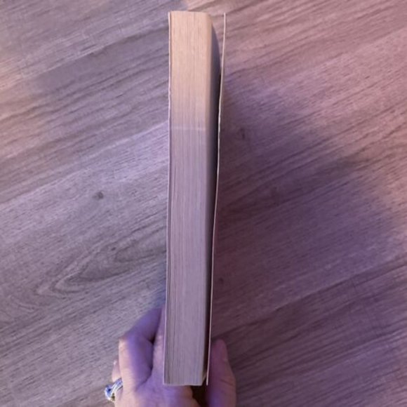 The Kind of Friends We Used to Be ( The Secret Language of Girls Trilogy) - Picture 4 of 5